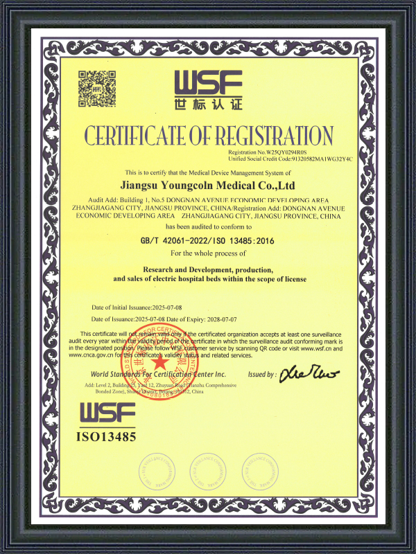 ISO13485 Electric Beds From Youngcoln-2025