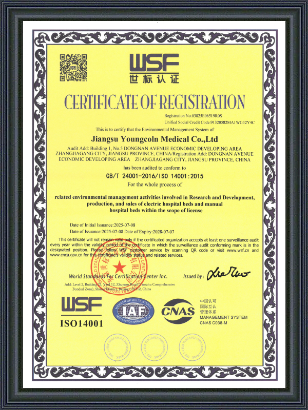 ISO14001 Hospital Beds From Youngcoln-2025