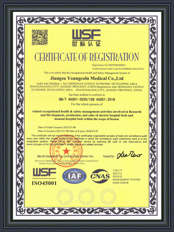 ISO45001 Hospital Beds From Youngcoln-2025